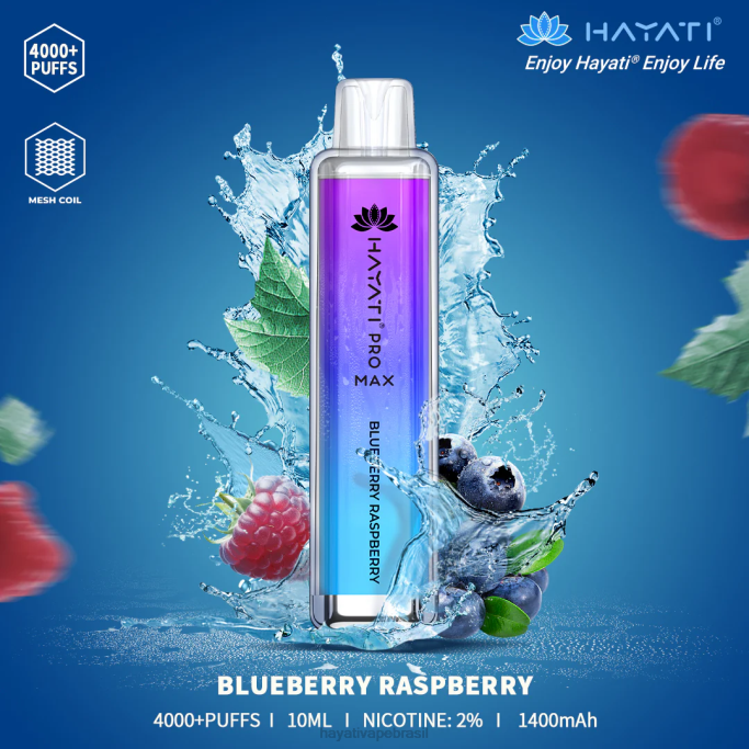 Hayati Store Brasil - Hayati Pro Max descartável H0PN99 framboesa mirtilo